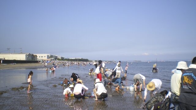 家族で潮干狩り