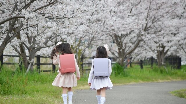桜らの木の下を歩くランドセルを背負た女の子2人